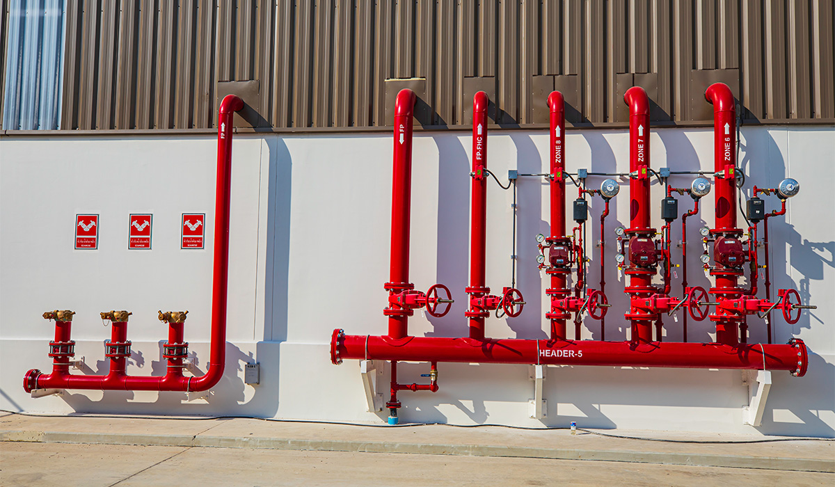 Galeri görseli